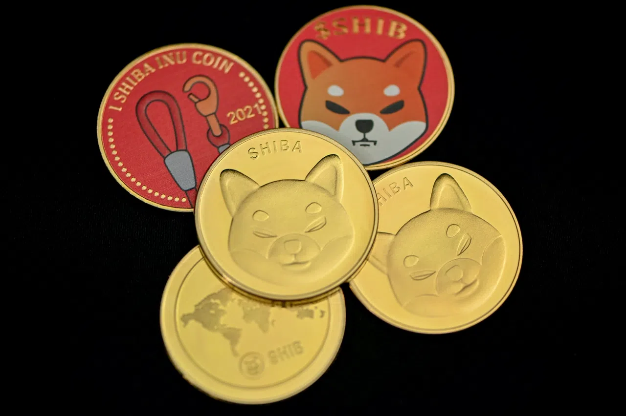 token leash de l’environnement shiba inu