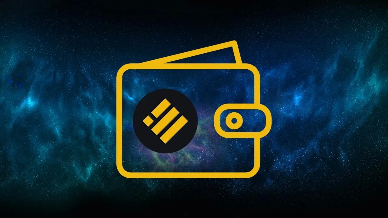 comment bien stocker ses busd sur un wallet crypto