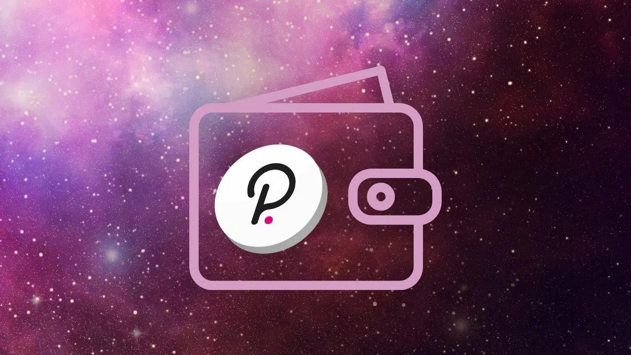 Stockage Polkadot comment stocker ses dot sur un hot ou un cold wallet