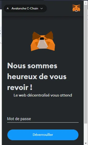 Metamask connexion Se connecter à Metamask