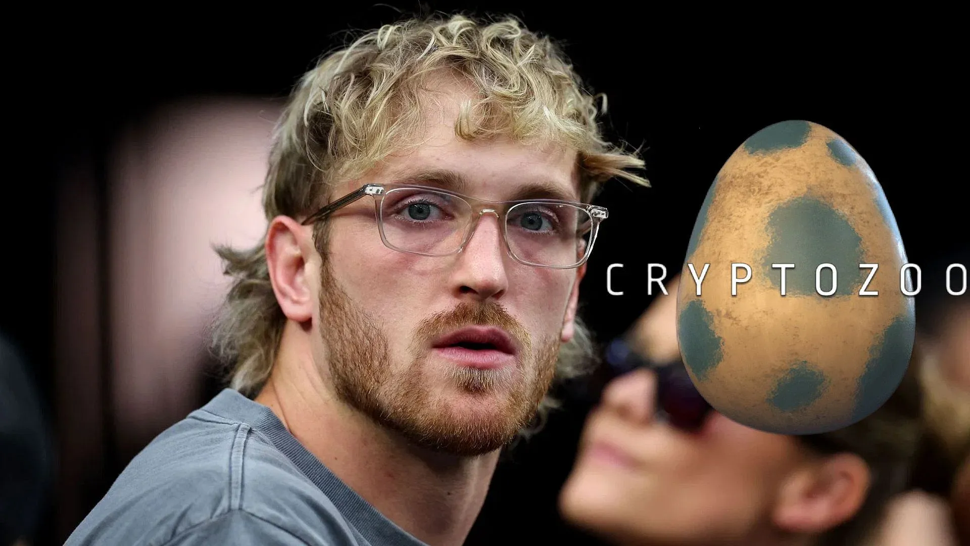 arnaque cryptozoo logan paul nft
