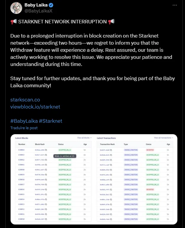 le tweet de baby laika starknet