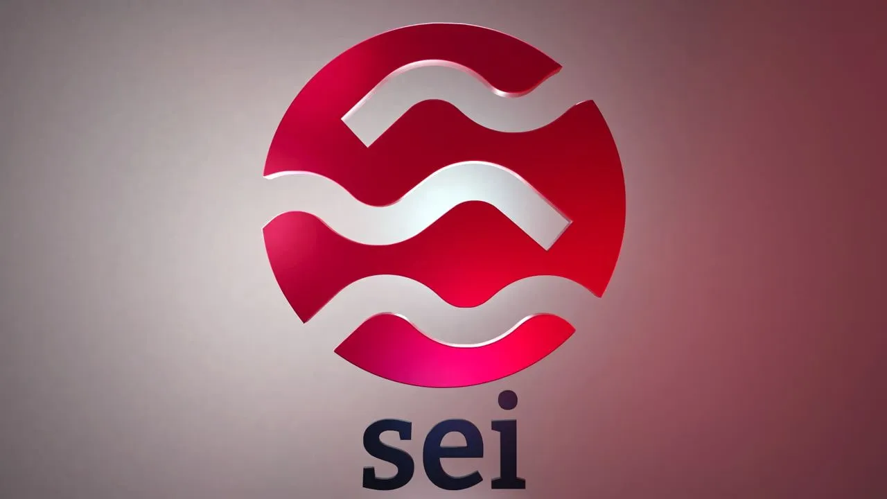 À quoi sert le SEI ?