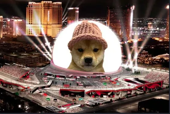 avis final Dogwifhat Notre avis final sur Dogwifhat