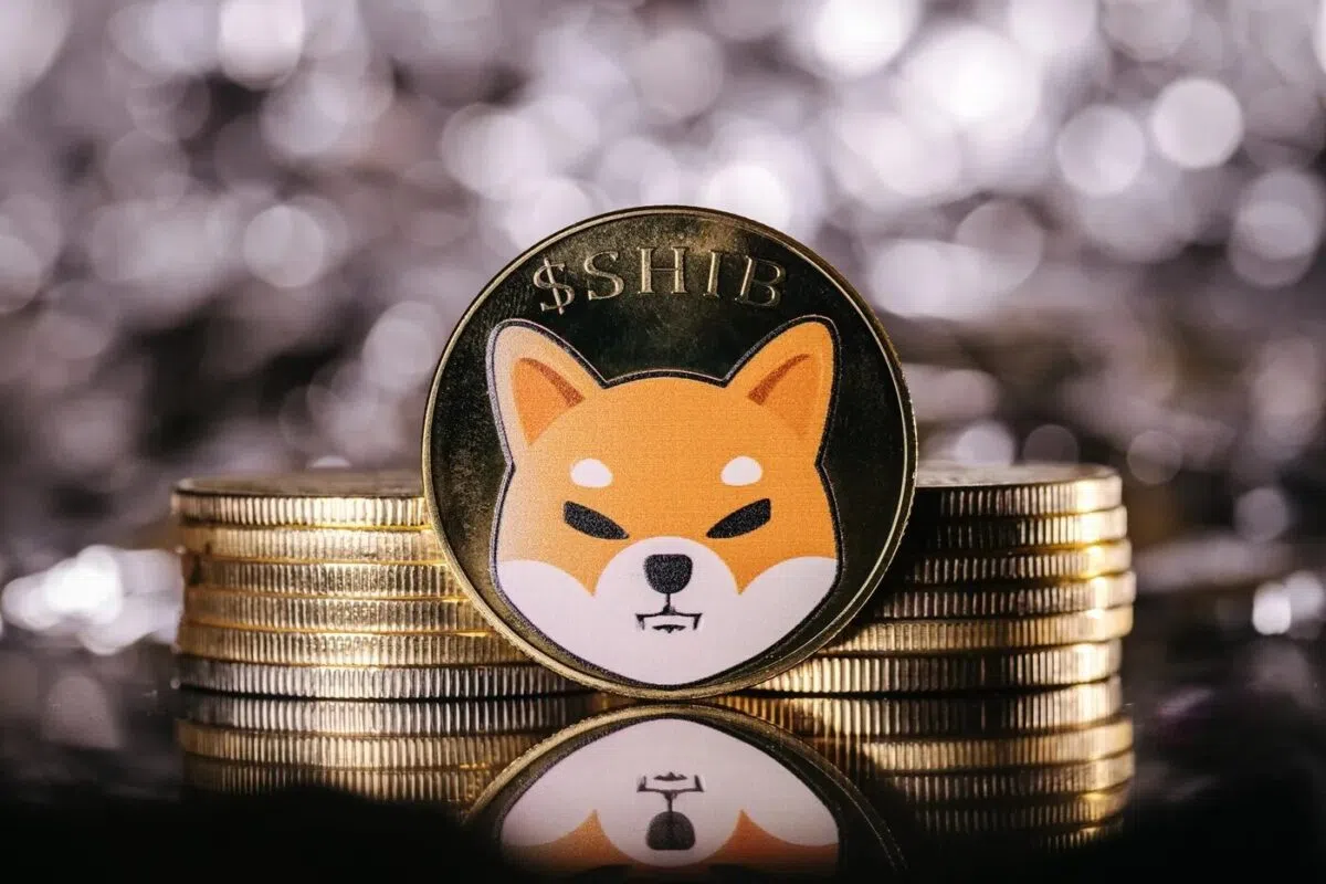 Shiba Inu reflète une phase normale